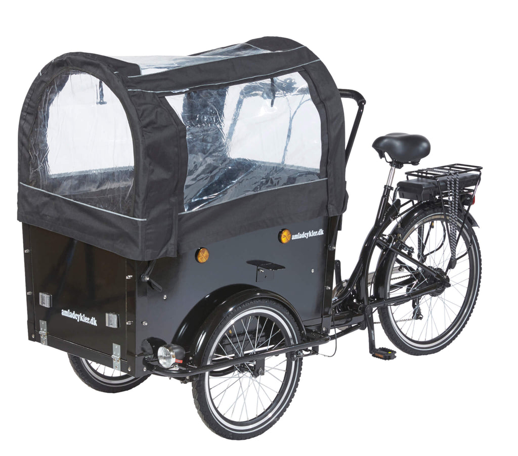Amcargobikes Special Design Cargo Electric Tricycle - Dog - HITRONIC