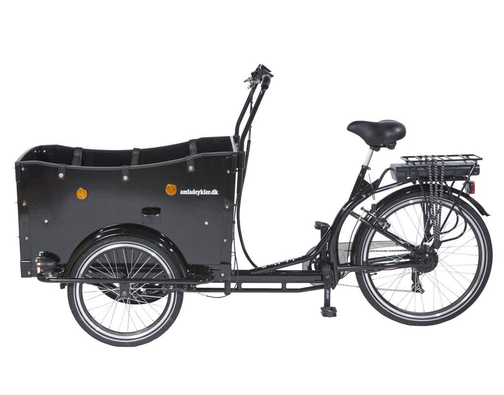 Amcargobikes Special Design Cargo Electric Tricycle - Kindergarten - HITRONIC