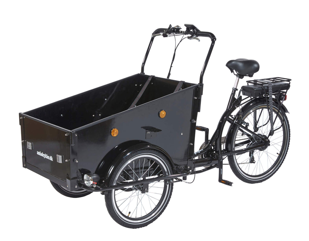 Amcargobikes Special Design Cargo Electric Tricycle – Lowrider - HITRONIC