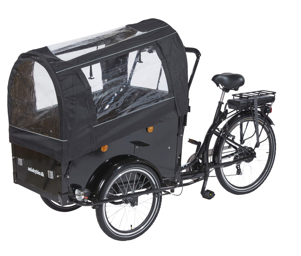 Amcargobikes Special Design Cargo Electric Tricycle – Lowrider - HITRONIC