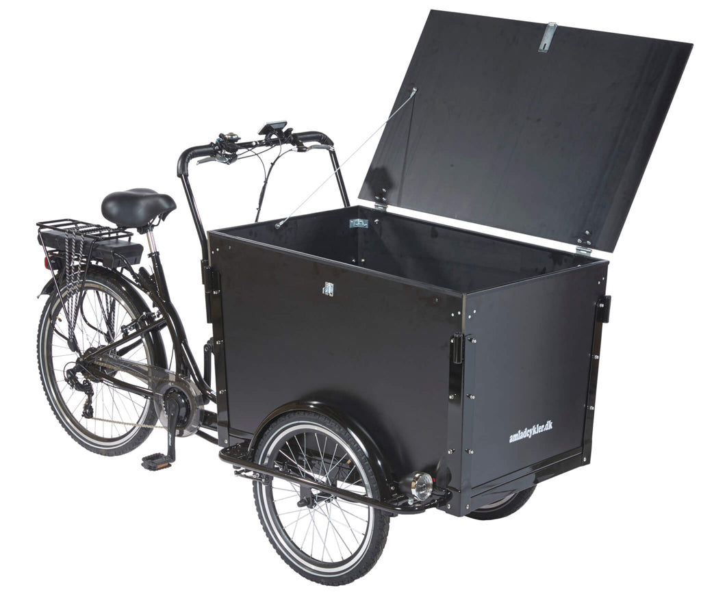 Amcargobikes Special Design Cargo Electric Tricycle – Workman - HITRONIC